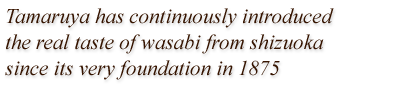 Tamaruya has continuously introduced the real taste of wasabi from shizuoka since its very foundation in 1875