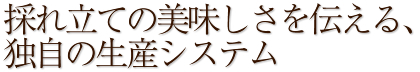 採れ立ての美味しさを伝える、独自の生産システム